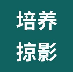 疫情无情，培养不停，中国税务律师联盟近期动态