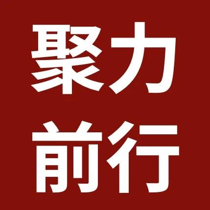 税盟广西盟友会2023年第一季度线下交流活动在南宁圆满举行